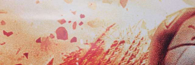 Cover image for post (Not) Rising, by A