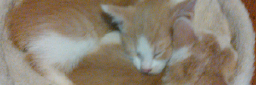 Cover image for post Thank Goodness for Lazy Days, by 2Bamboopanda