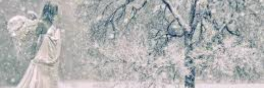 Cover image for post Snow Angel, by JadeRain