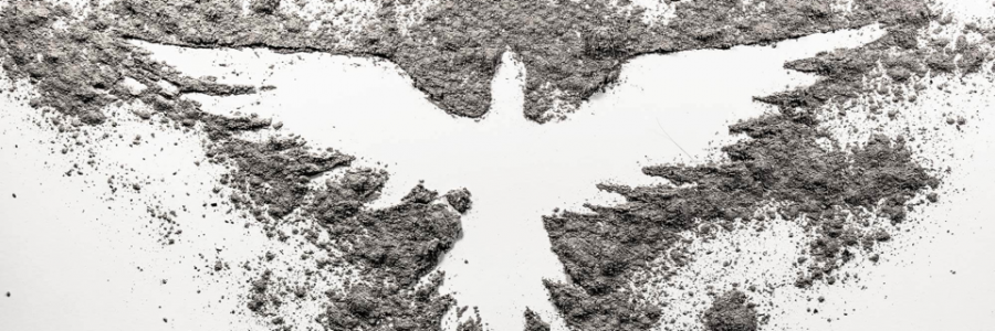 Cover image for post A goodbye I don’t mean., by JoeySun