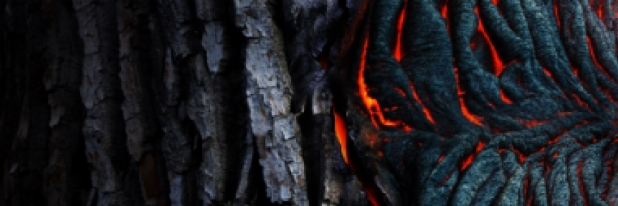 Cover image for post Phoenix, by Anarra_Erin