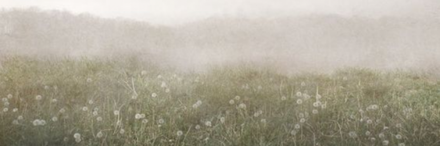 Cover image for post safe, by anarosewood