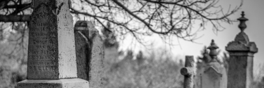 Cover image for post Blood (Part 7), by JoResner