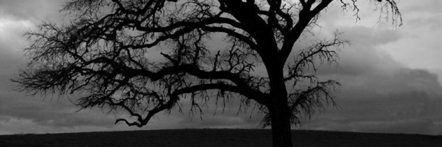 Cover image for post They Will Come Soon, by Threedaughters