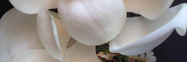 Cover image for post Good guys finish first., by DougWinter