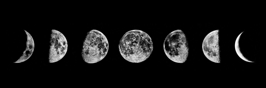 Cover image for post Untitled, by riverina