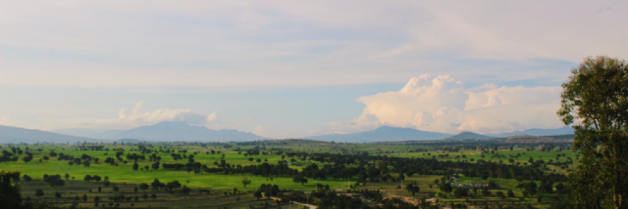 Cover image for post Summer., by adm