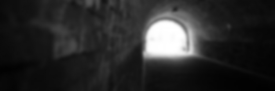 Cover image for post who, by wetpetals