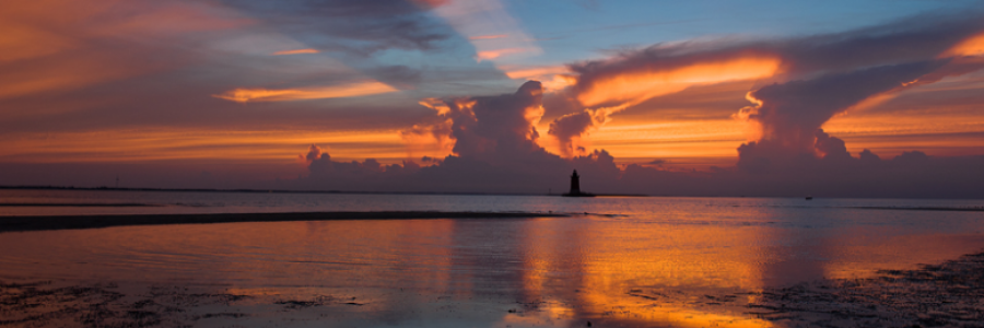 Cover image for post Perfection in Paint, by Danceinsilence