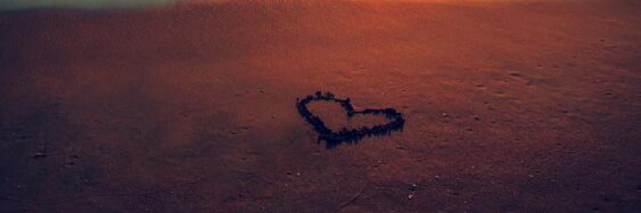 Cover image for post That Summer, by Lovehurts