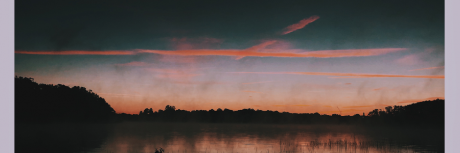 Cover image for post will you?, by isabelabeville