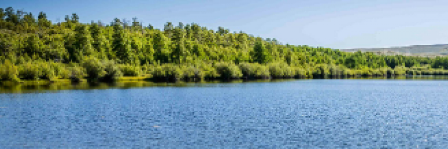 Cover image for post Sky/Sea Looking Back, by 2Bamboopanda