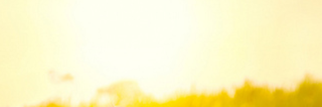 Cover image for post Dying..., by Tereza