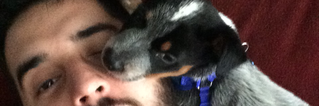 Cover image for post The Written Wolf, by Schrieben_Wulf