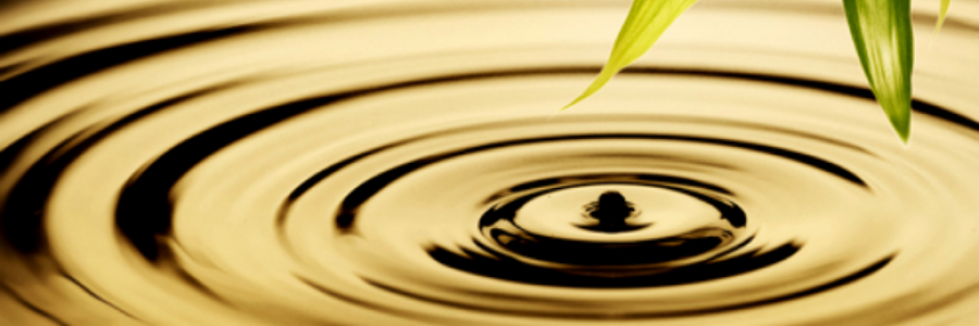 Cover image for post Sage's Gift, by eMan