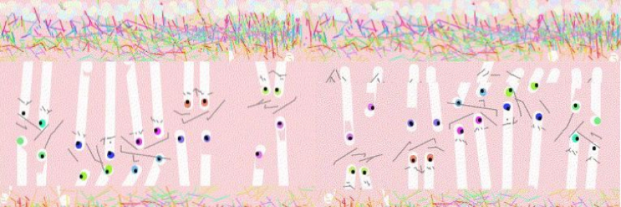 Cover image for post Solitary Main Street, by JimLamb