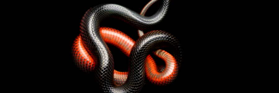 Cover image for post "I Am The God Of Hell-fire, and I Bring You...", by Bunny