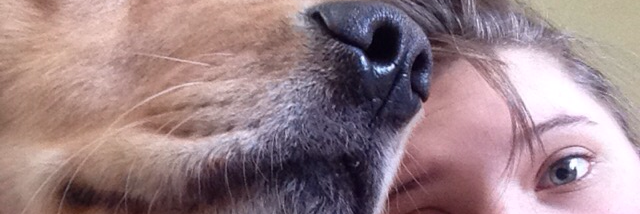 Cover image for post I Was A Lil Tot, by autumn