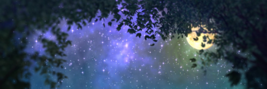 Cover image for post Teeny, Tiny Fairy, by gowster