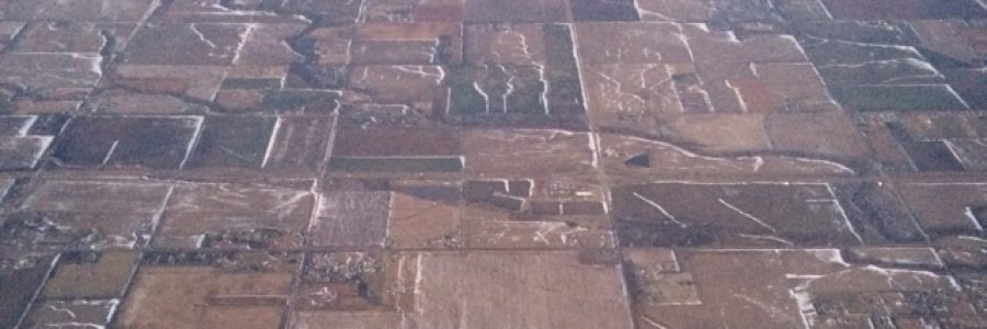 Cover image for post Withering, by Rev_Frenchie