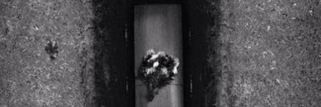 Cover image for post Gone, by Leftyguitarist9