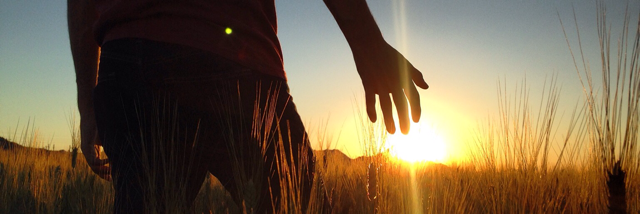 Cover image for post The light in your eyes, by eddy23