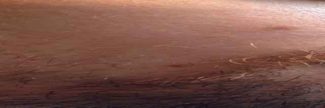 Cover image for post Who I Am, by A