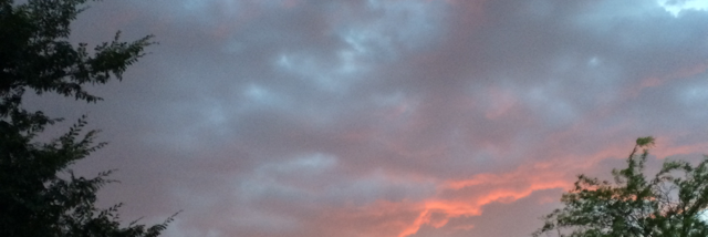 Cover image for post When you and nature become one, by Karlacaldera