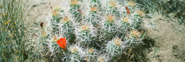 Cover image for post I wish I wasn't so, by shesmad