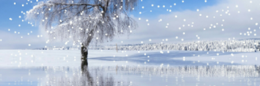 Cover image for post From Afar, by 2Bamboopanda