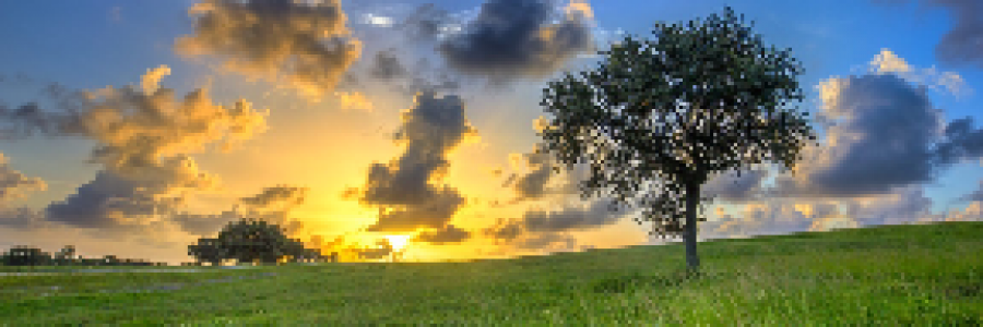 Cover image for post 'Twas Not You, Love, by Mazzmyrrheyes