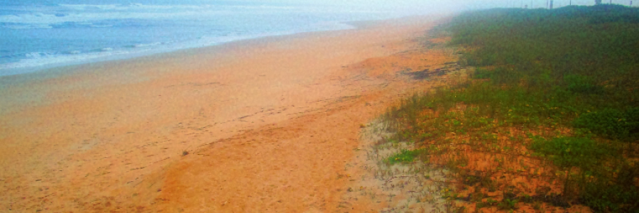 Cover image for post In the Beginning, by sandflea68