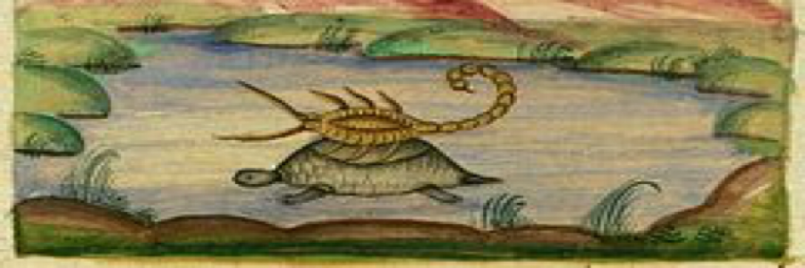 Cover image for post The Scorpion, by Hosea