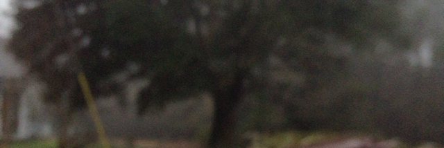 Cover image for post Little girl..., by Rebecca93