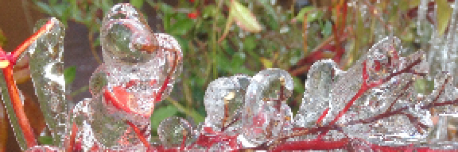 Cover image for post Thawing Hearts, by Mazzmyrrheyes