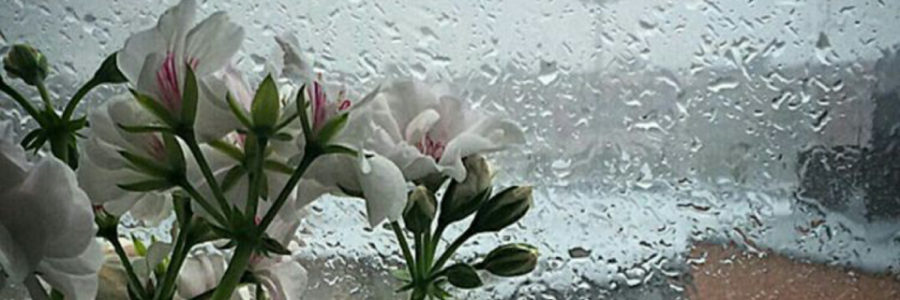 Cover image for post Ego Facite, by blnk