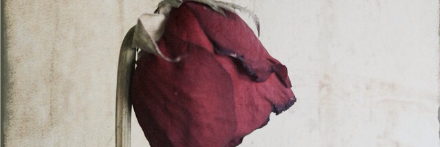 Cover image for post Hues, by Leftyguitarist9