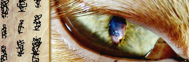 Cover image for post Possibilities, by MEsolushospes