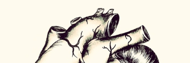 Cover image for post This Is Heart To Say, by lioncoloredsun