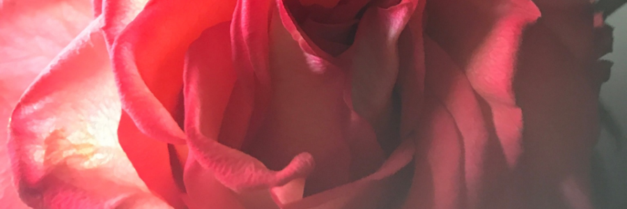 Cover image for post A Lost Battle for Love, by Teddyb