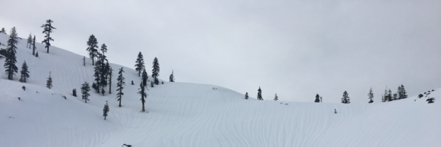 Cover image for post Smooth. Stop. Controlled. Stop., by Dalikamikaze