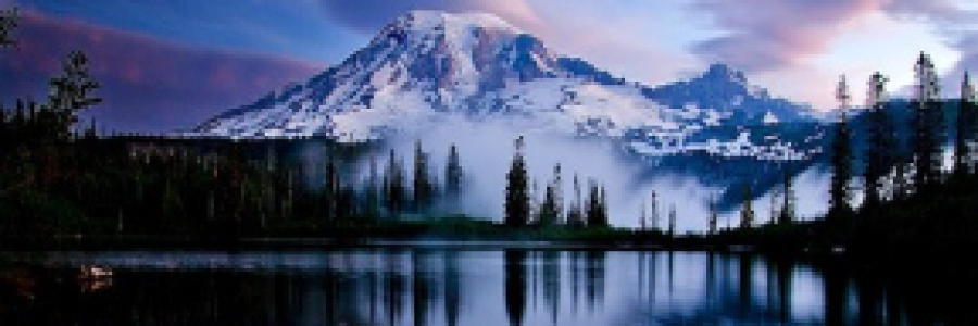 Cover image for post Sustenance, by Mazzmyrrheyes