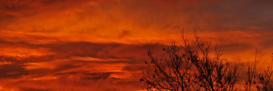 Cover image for post Red of dawn, by Servus