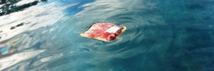 Cover image for post Untitled, by the_yeasty_boys