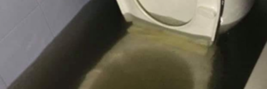 Cover image for post I just kept flushing., by the_yeasty_boys