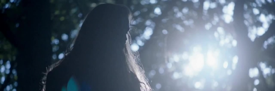 Cover image for post seaweed, by anarosewood