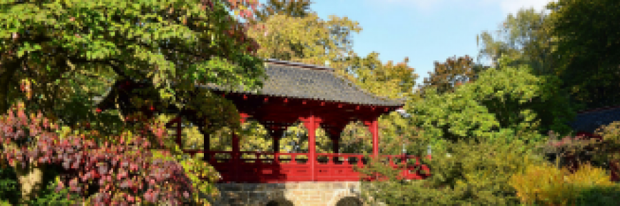 Cover image for post A Dream of Japan, by 2Bamboopanda