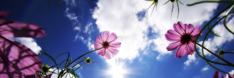 Cover image for post On Contradictin' Livin', by the_dwatts