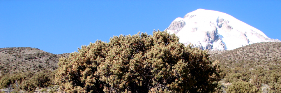 Cover image for post Mountaintop Miracles, by the_dwatts