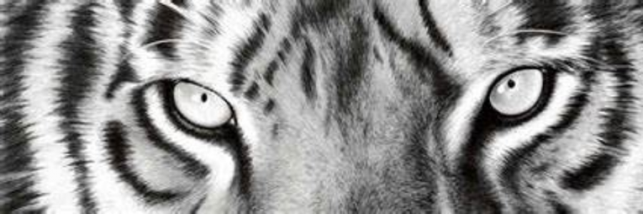 Cover image for post Primal Instinct, by GaryzWords